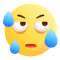 表情