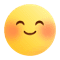 表情