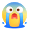 表情