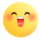 表情